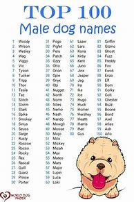 Image result for Cute Little Dog Names