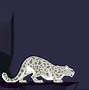 Image result for Mac OS Leopard Wallpaper