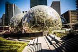 Image result for Amazon Towers Seattle