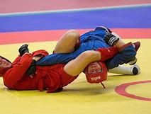 Image result for Sambo Fighting Style