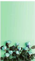 Image result for iPhone Mint Green