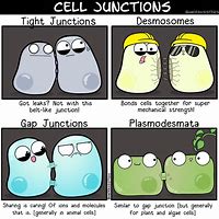Image result for Memes About Cell Transport