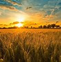 Image result for Farm Laptop Backgrounds