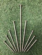 Image result for Stainless Steel Garden Screws