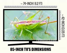 Image result for 75 vs 85 Inch TV