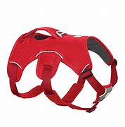 Image result for Easy Leader Dog Harness