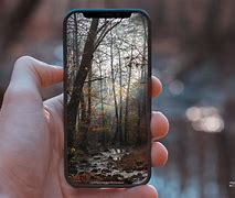 Image result for iPhone XS Max Fluff in Port