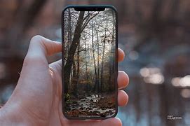 Image result for XS Max Steaker