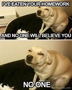 Image result for Tough Dog Meme