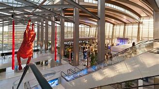 Image result for Sacramento International Airport Tall Escalator