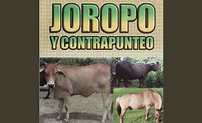Image result for contrapunteo