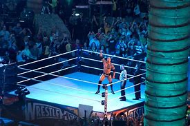 Image result for John Cena Roman Reigns SummerSlam
