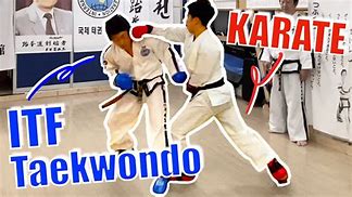 Image result for Taekwondo vs Karate Who Will Win