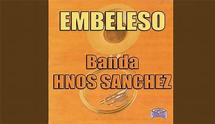 Image result for embeleso