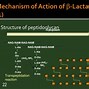 Image result for Antimicrobial Drugs Classification