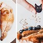 Image result for Cat Eating Food Meme