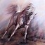 Image result for White Horse Art