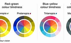 Image result for Color Blindness