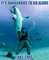 Image result for Shark Saturday Meme