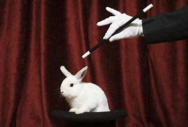 Image result for Bunny Magic Trick