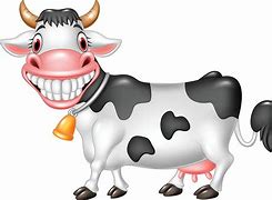 Image result for Funny Dairy Cow Clip Art