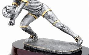 Image result for Volleyball Trophies