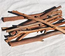 Image result for A Bundle of Sticks