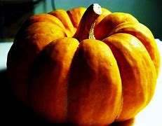 Image result for You Got Hit with Punkin