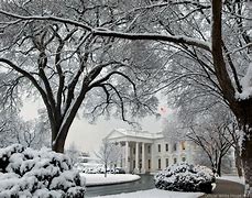 Image result for White House Executive Branch