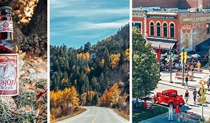 Image result for You Fort Collins