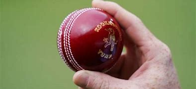 Image result for Cricket Landscape Picture Bowling