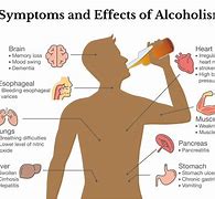 Image result for Alcoholic vs Drug Addict