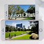 Image result for iPhone 6 Plus and 8 Plus