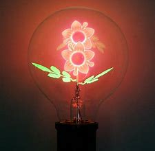 Image result for Light Bulb with Colorful Leaves and Flowers Inside