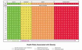 Image result for BMI Health Chart