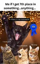 Image result for Winning Cat Meme