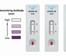 Image result for Covid Test Kits
