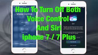 Image result for Siri iPhone 12