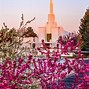 Image result for Denver LDS Temple