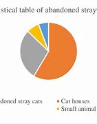 Image result for Stray Cats in Sierra Leone