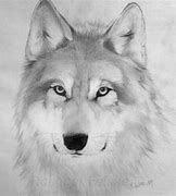Image result for Wolf Drawing