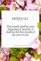 Image result for Every Day Is a Chance for a New Beginning Scripture