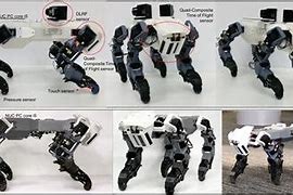 Image result for Robotic Locomotion