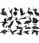 Image result for Pelican DXF Files