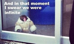 Image result for IKEA Monkey Meme