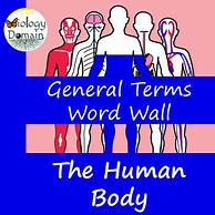 Image result for Human Body Systems Word Art