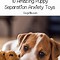 Image result for Stress-Relieving Dog Toys
