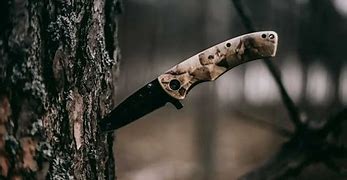 Image result for Best Deer Knife Ever Made