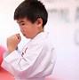 Image result for Martial Arts Kids