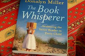 Image result for Child Whisperer Mystery Book